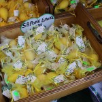 IMG_0354