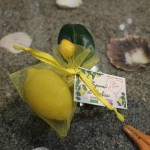IMG_0429